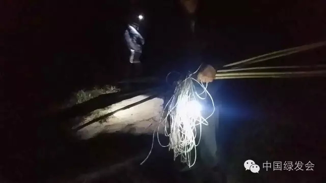 3.webp.jpg 3.webp.jpg