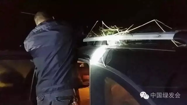 5.webp.jpg 5.webp.jpg