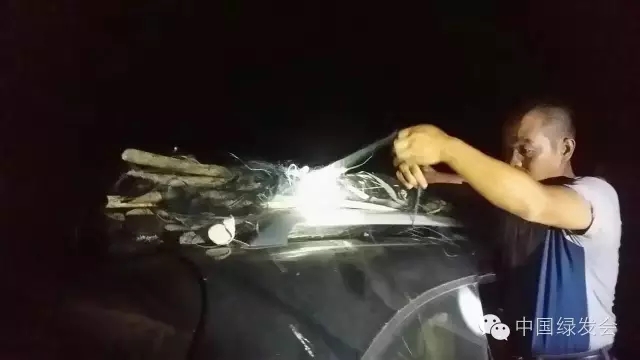 4.webp.jpg 4.webp.jpg