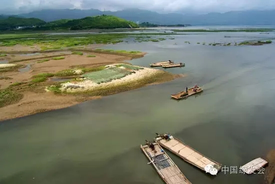 13.webp.jpg 13.webp.jpg