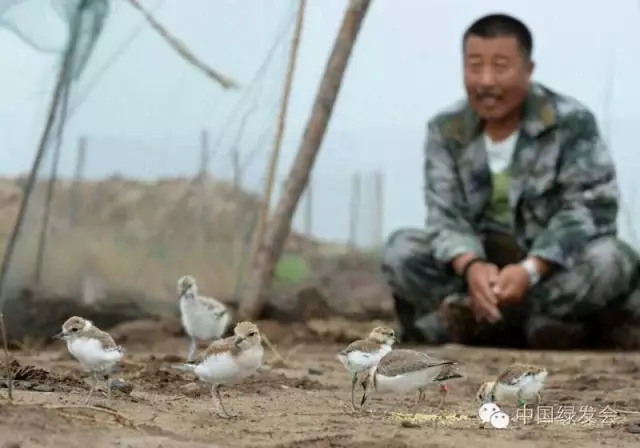 15.webp.jpg 15.webp.jpg