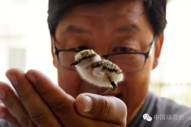 16.webp.jpg 16.webp.jpg