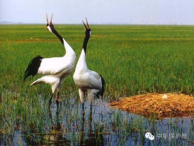 1.webp (1).jpg 1.webp (1).jpg