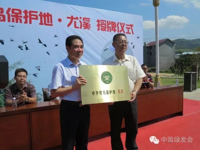 5.webp.jpg 5.webp.jpg