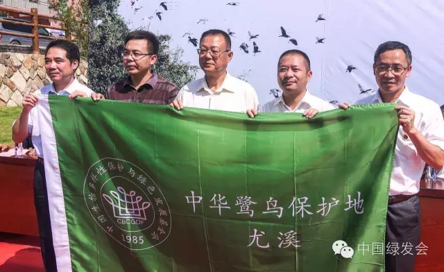 6.webp.jpg 6.webp.jpg