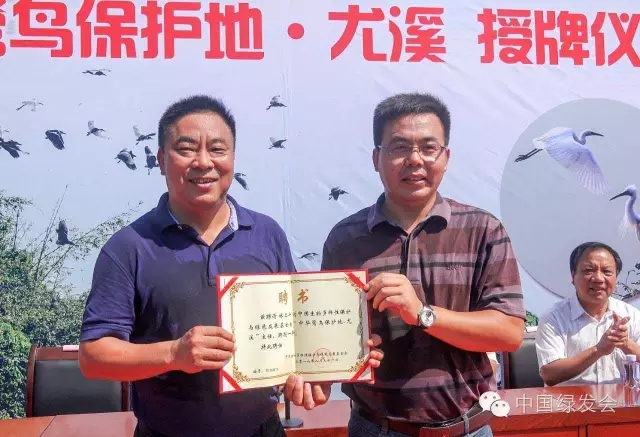 7.webp.jpg 7.webp.jpg