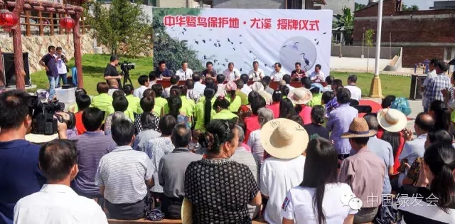 8.webp.jpg 8.webp.jpg