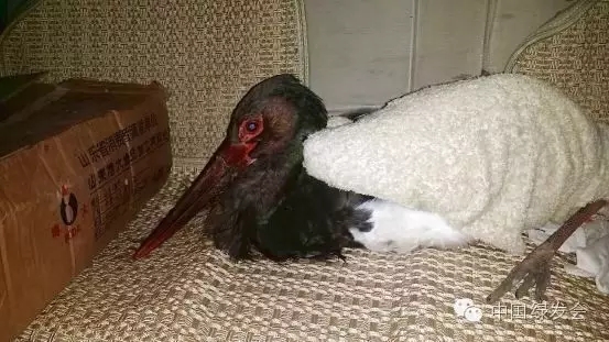 11.webp.jpg 11.webp.jpg