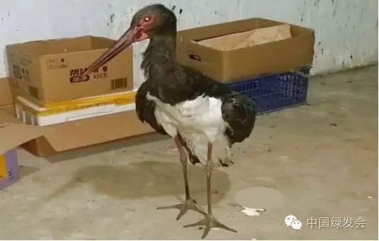 12.webp.jpg 12.webp.jpg