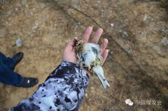 19.webp.jpg 19.webp.jpg