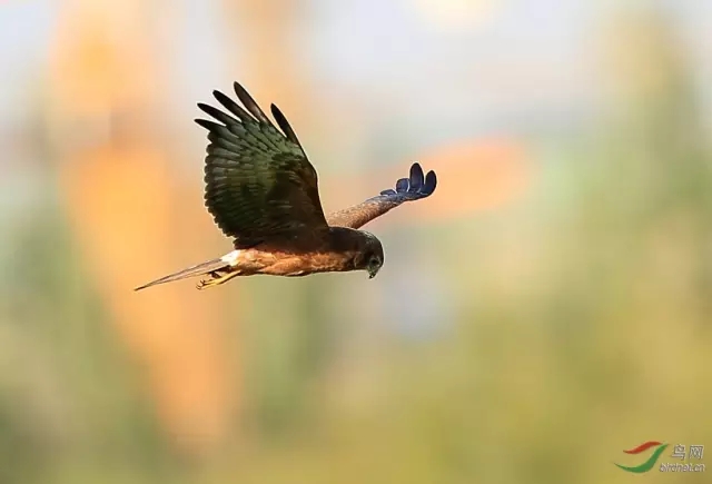 22.webp.jpg 22.webp.jpg