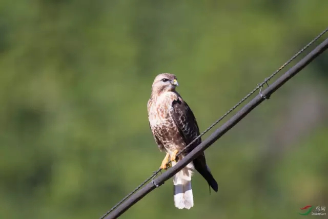 23.webp.jpg 23.webp.jpg