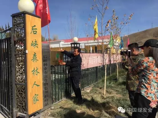 1.webp (1).jpg 1.webp (1).jpg