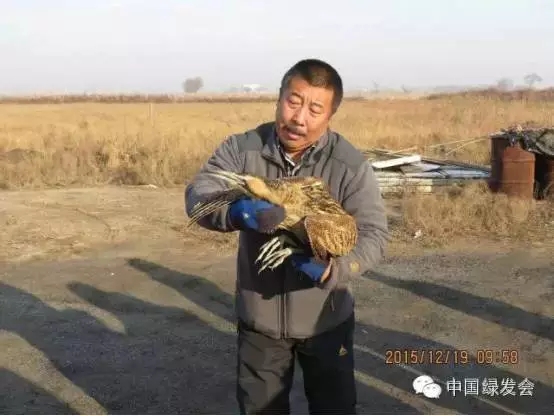 12.webp.jpg 12.webp.jpg