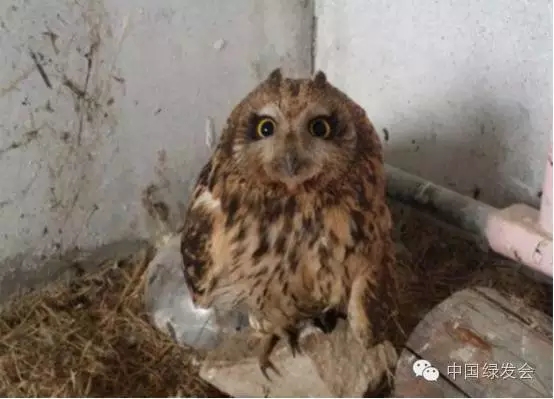 14.webp.jpg 14.webp.jpg