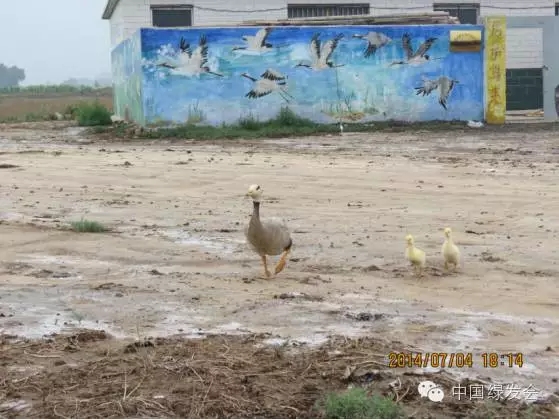 13.webp.jpg 13.webp.jpg