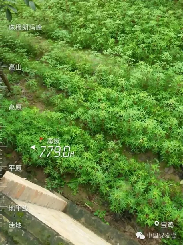 19.webp.jpg 19.webp.jpg