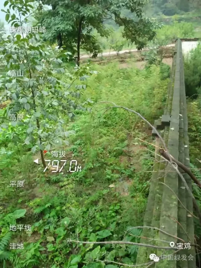 20.webp.jpg 20.webp.jpg