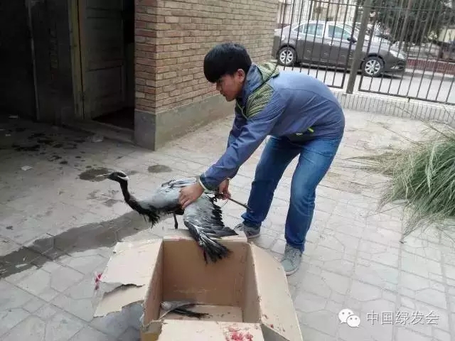 22.webp.jpg 22.webp.jpg