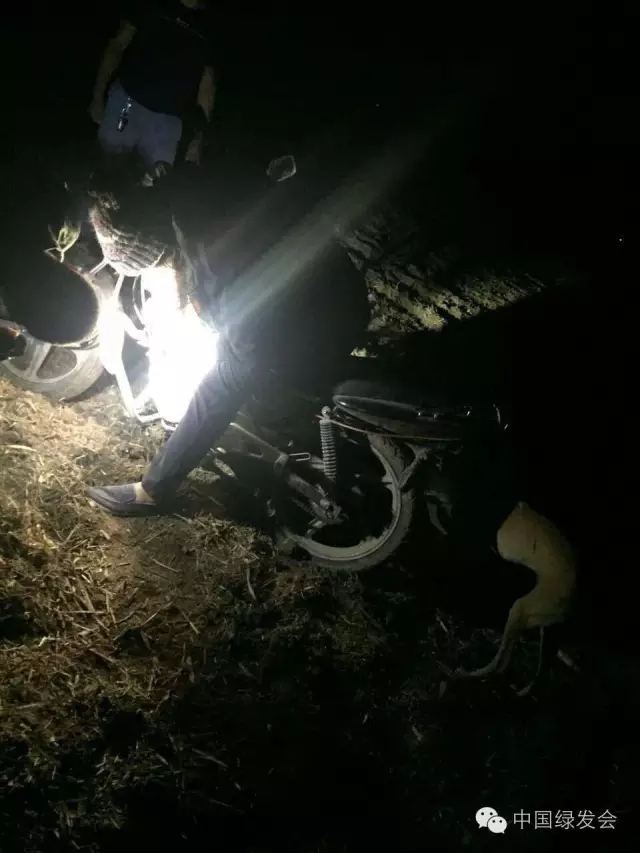 24.webp.jpg 24.webp.jpg