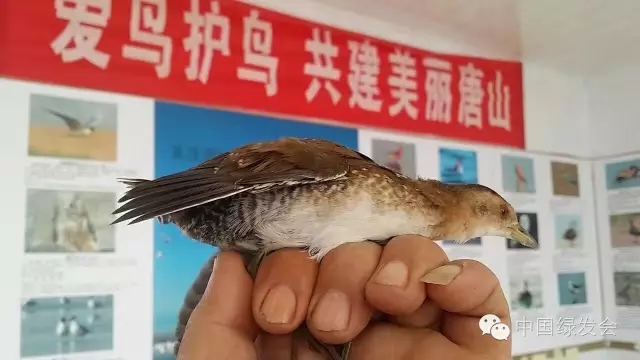 32.webp.jpg 32.webp.jpg