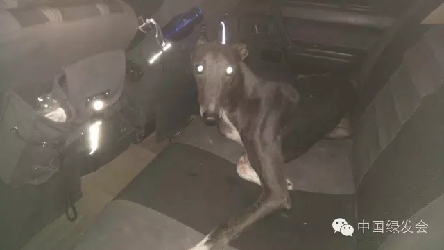 33.webp.jpg 33.webp.jpg