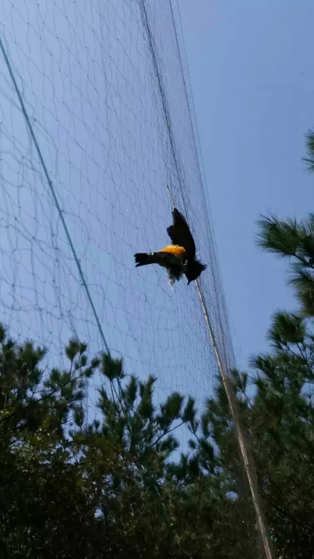 1.webp.jpg 1.webp.jpg