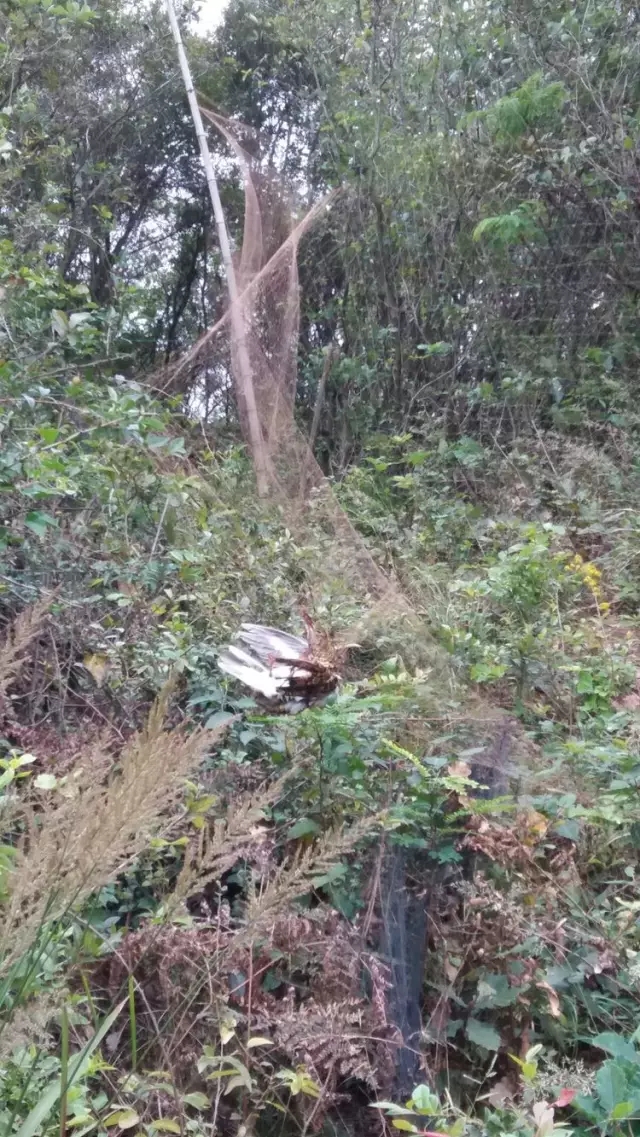 4.webp.jpg 4.webp.jpg