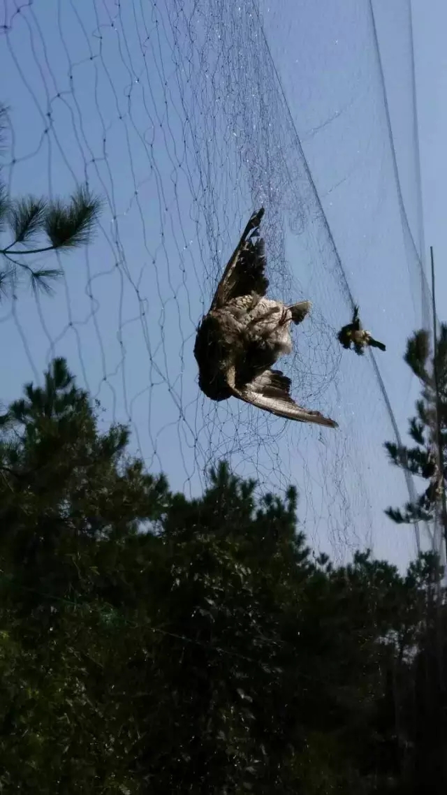 2.webp.jpg 2.webp.jpg