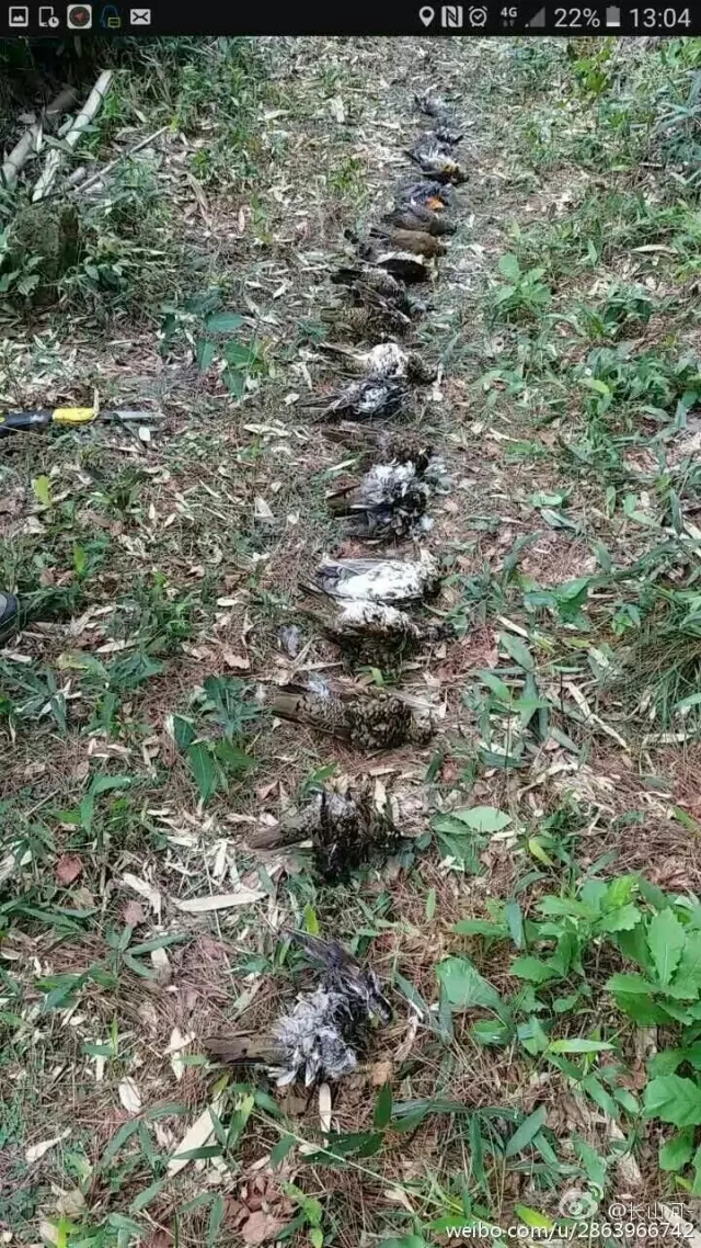 3.webp.jpg 3.webp.jpg