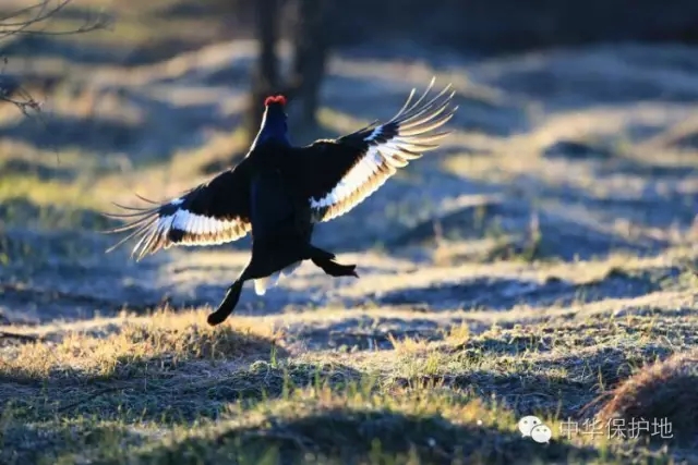 16.webp.jpg 16.webp.jpg