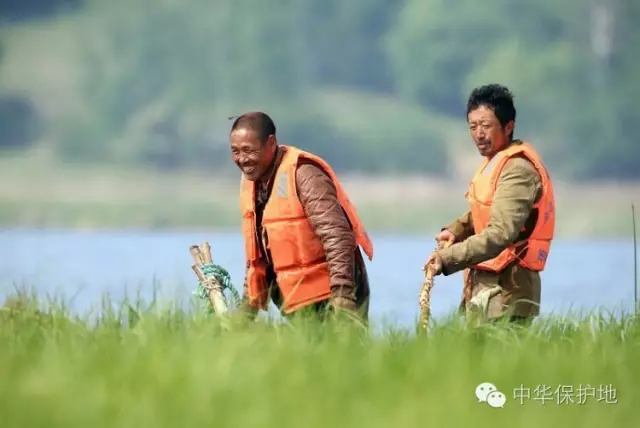 11.webp.jpg 11.webp.jpg