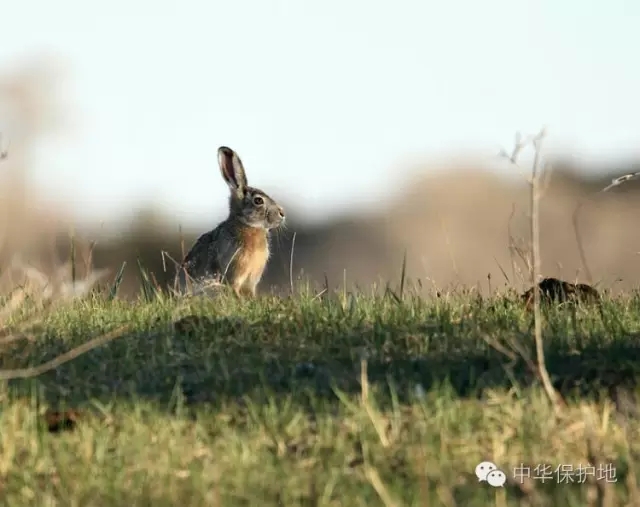 12.webp.jpg 12.webp.jpg