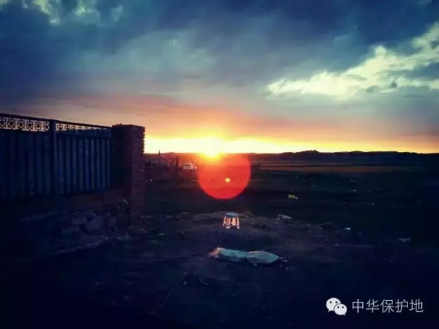 7.webp.jpg 7.webp.jpg