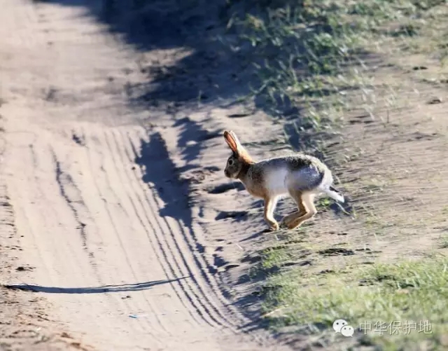 13.webp.jpg 13.webp.jpg