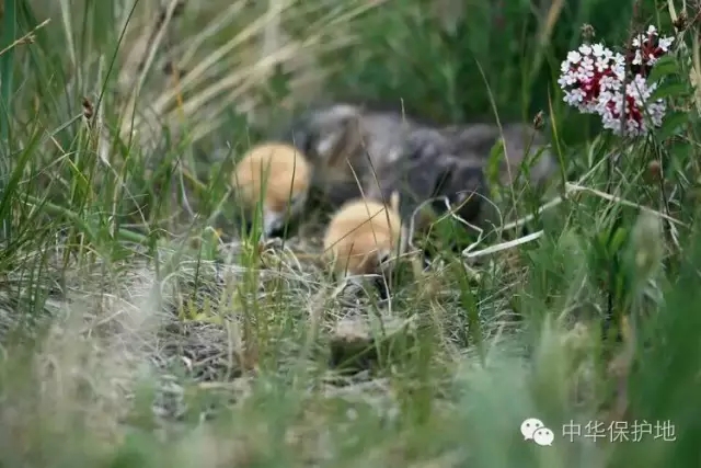 18.webp.jpg 18.webp.jpg