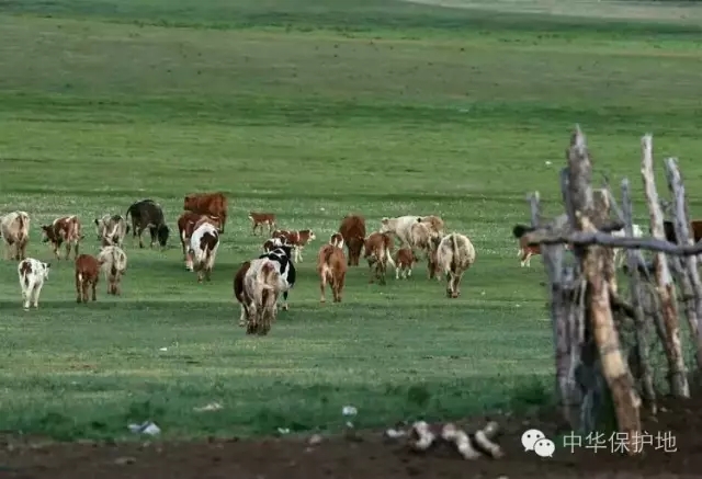 25.webp.jpg 25.webp.jpg