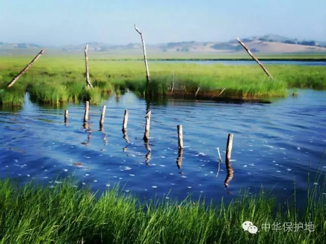 23.webp.jpg 23.webp.jpg