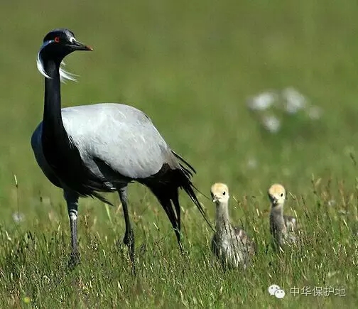 19.webp.jpg 19.webp.jpg