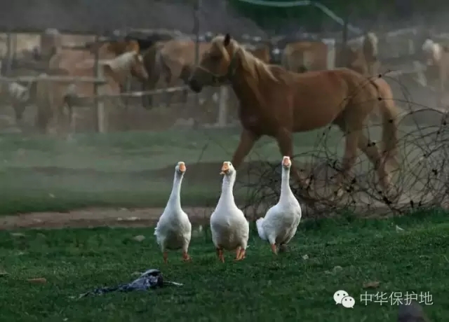 26.webp.jpg 26.webp.jpg