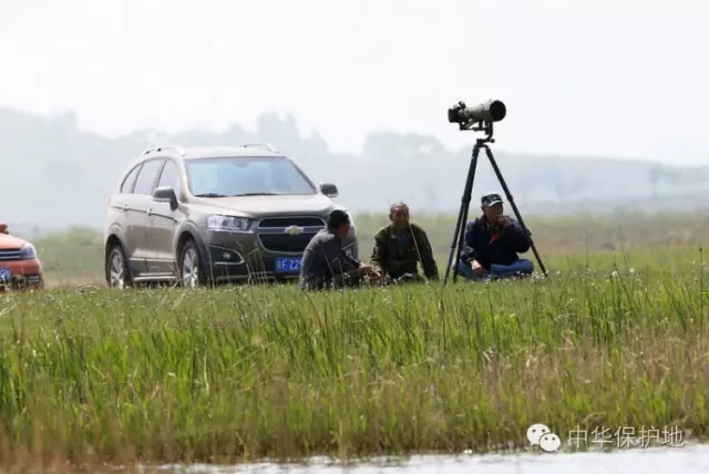 30.webp.jpg 30.webp.jpg