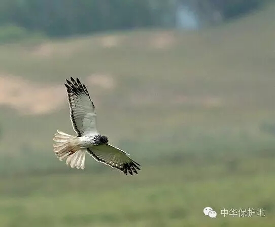 32.webp.jpg 32.webp.jpg