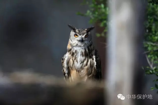 33.webp.jpg 33.webp.jpg