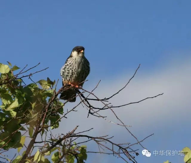 35.webp.jpg 35.webp.jpg