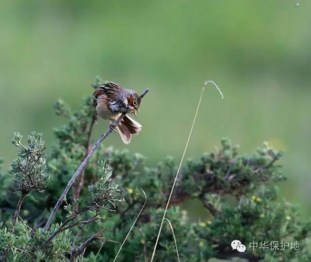 36.webp.jpg 36.webp.jpg