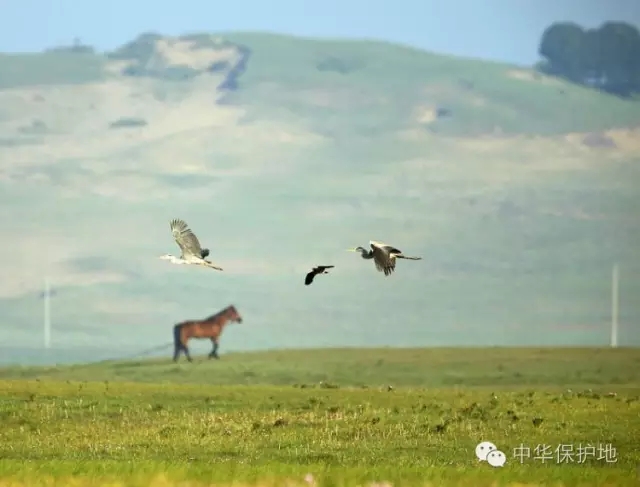 39.webp.jpg 39.webp.jpg