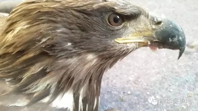 1.webp (1).jpg 1.webp (1).jpg