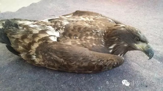 2.webp.jpg 2.webp.jpg