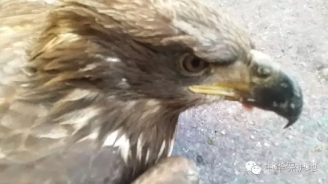 3.webp.jpg 3.webp.jpg