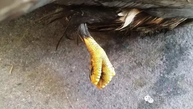 4.webp.jpg 4.webp.jpg